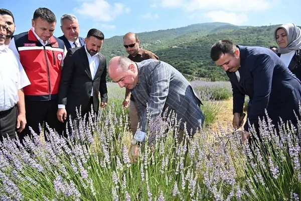 lavanta-hasadinin-geliri-dmd-hastasi-uygara-bagislanacak-1783085306537.jpg