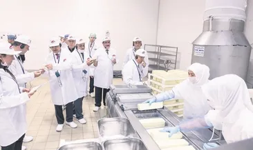 Batık firma küllerinden yeniden doğdu