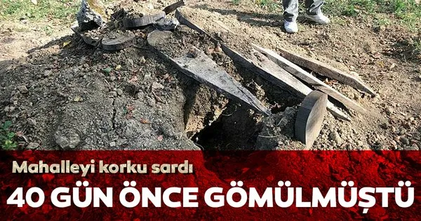 40 gün önce defnedilmişti... Mahalleyi korku saldı