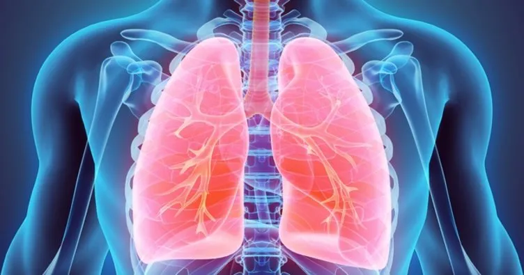 Akciğere Ne İyi Gelir? Akciğere İyi Gelen Besinler İle Ciğerleri Temizleyen Bitkisel Çözümler