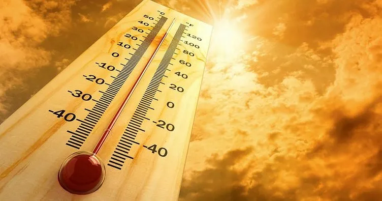 Yeni Zelanda’da 1909’dan bu yana en sıcak yaz!