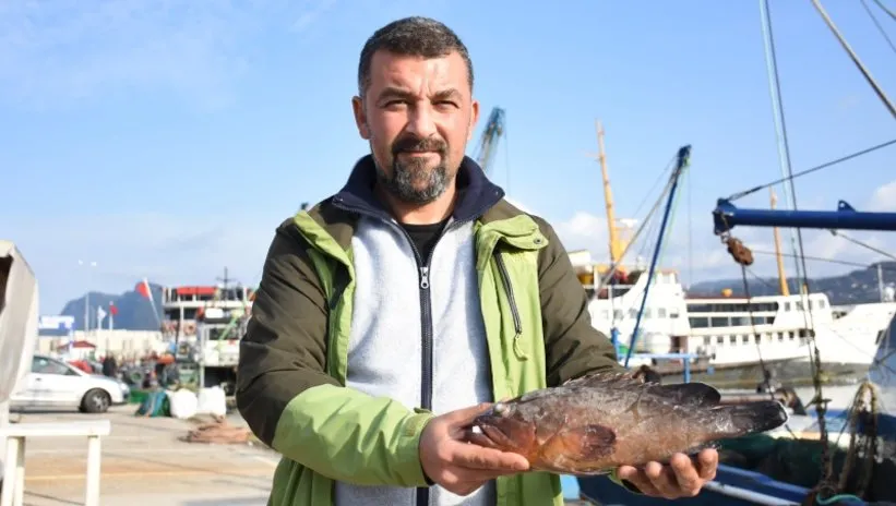 Nesli tehlikedeki orfoz Karadeniz’de: Uzman ismin açıklamaları korkuttu!