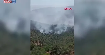 Konya’da orman yangını! | Video