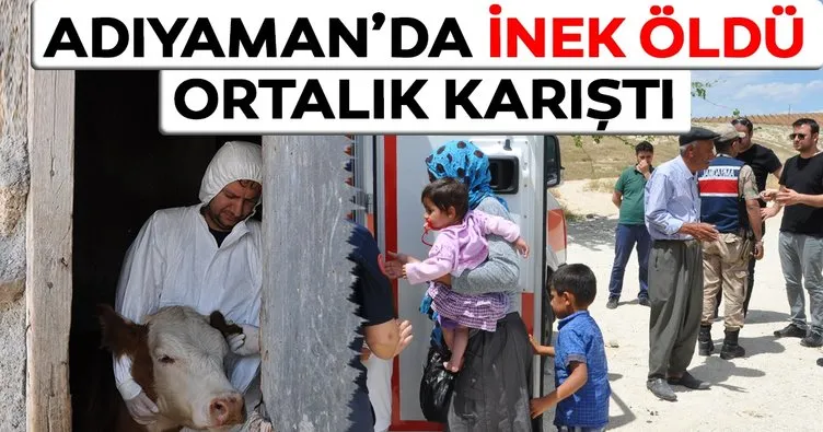 Adıyaman’da ’kuduz’ karantinası