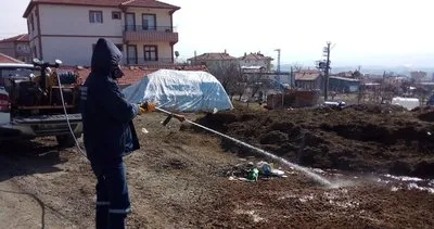 Kırıkkale Belediyesi havaların ısınmasıyla haşerelerle mücadelesini artırdı #kirikkale