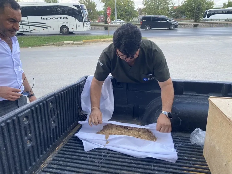 Annesi acısına dayanamayıp ölmüştü: Kabri mezarlığın dışında kalan çocuk annesinin yanına defnedildi!