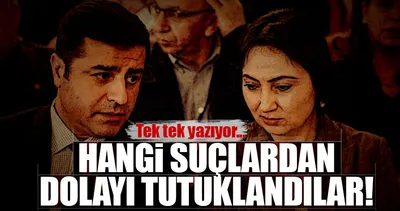 Hangi suçlardan dolayı tutuklandılar!