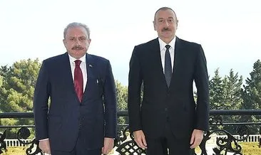 Aliyev, TBMM Başkanı Mustafa Şentop’u kabul etti