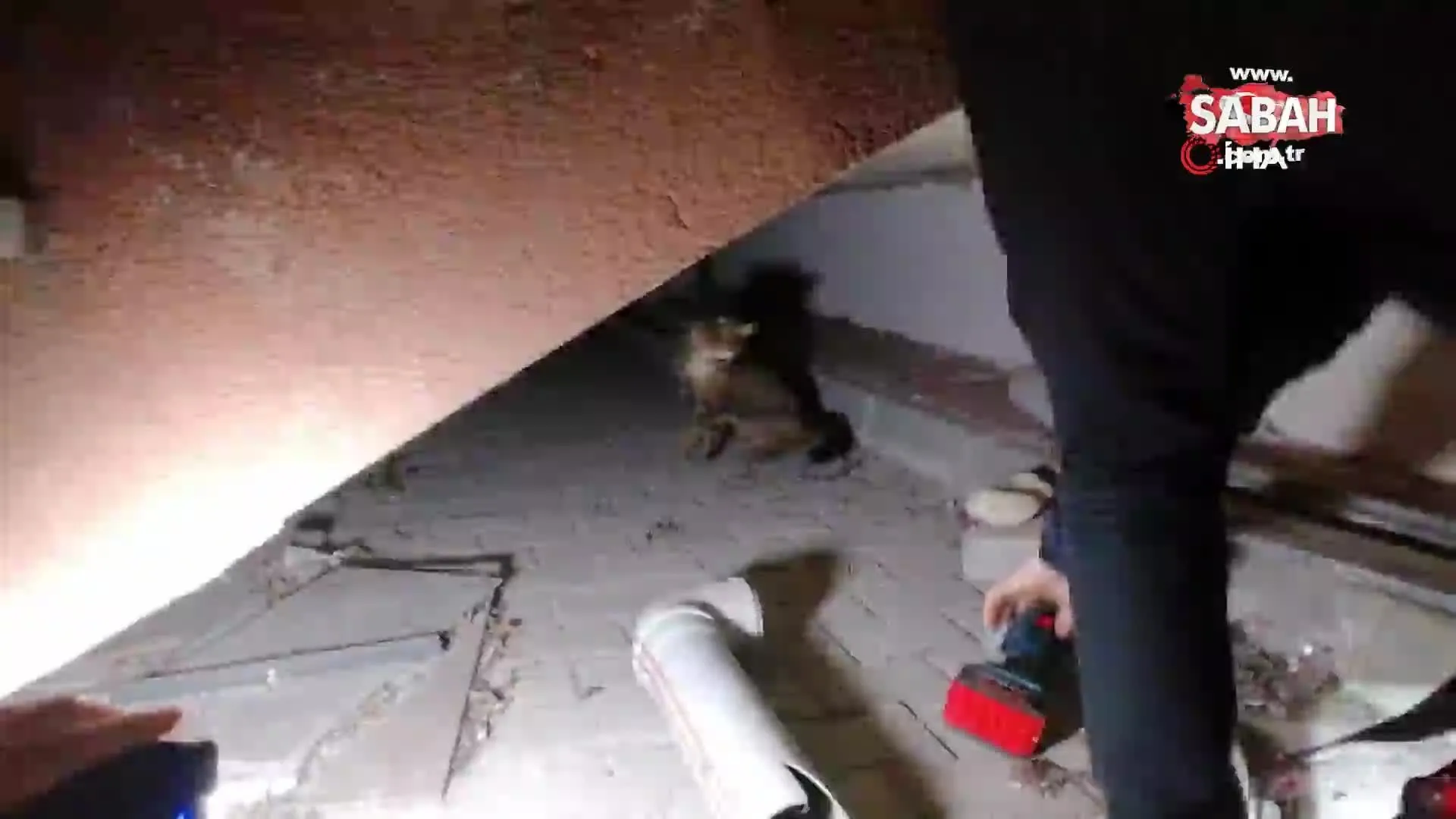 yavru kedinin sikistigi yeri telefondan kedi sesi acarak buldular video