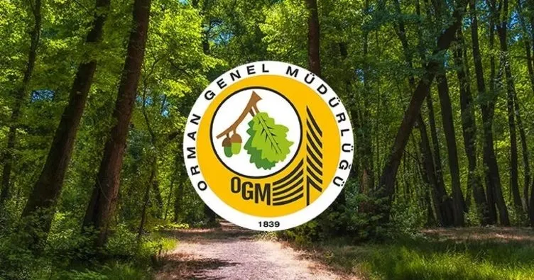 Orman Genel Müdürlüğü 249 orman mühendisi alacak