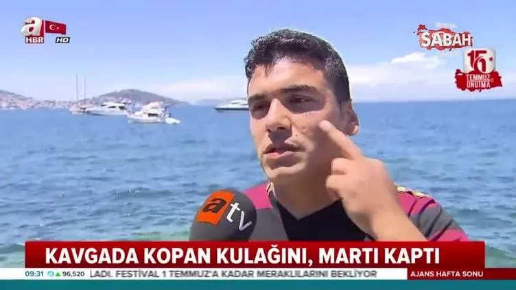 Kavgada kopan kulağını martı kaptı!