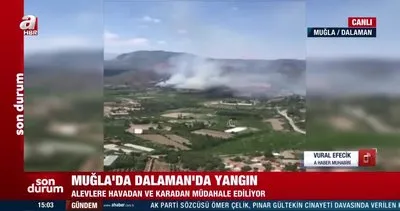 Son Dakika: Muğla Dalaman’da orman yangını! Tarım arazisindeki yangın ormana sıçradı | Video