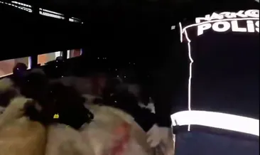 Uyuşturucuyu küçükbaş hayvanların karın boşluklarına gizlediler: 2 gözaltı
