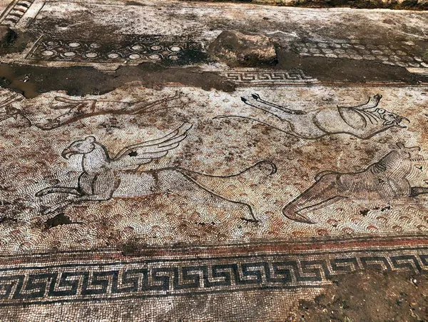 mahallede-buyuk-sevinc-3-bin-500-yillik-mozaikler-ortaya-cikti-1623913588807.jpg