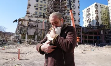 Ağır hasarlı sitede 13 kedi kurtarıldı