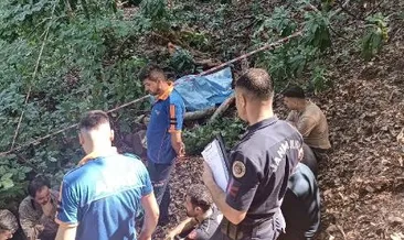 Bartın’da orman işçisinin feci sonu