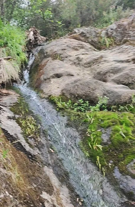 Korhan Berzeg böyle defnedilecek: 12 kemik ve kafatası!