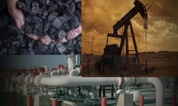 BlackRock, kömür, petrol ve doğal gaza yatırımı durdurmayacak