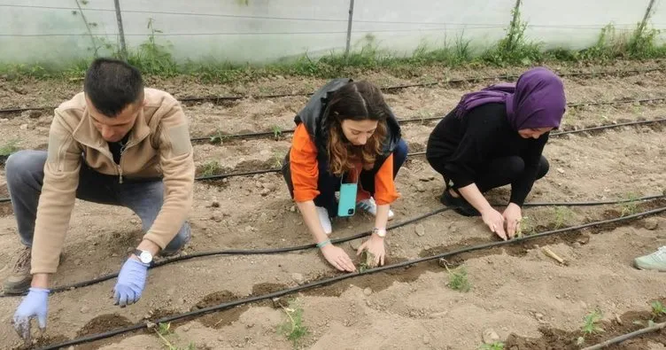 ZBEÜ’de ‘Kampüs Bostanı’ uygulaması hayata geçirildi