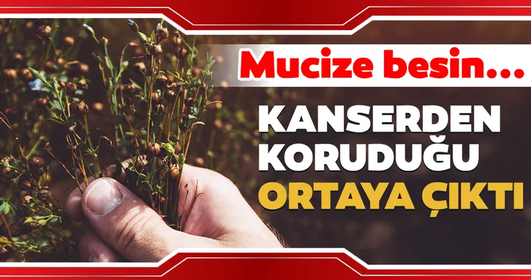 Kanserden koruyan mucize besin...