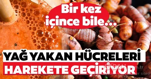 Yağ yakımını hızlandıran en etkili besin...