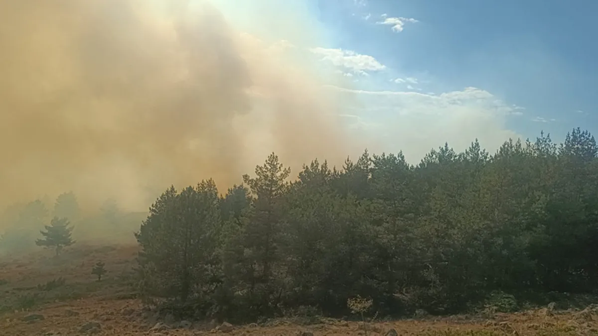 Bolu’da orman yangını!