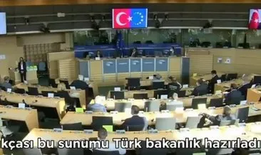 Avrupa Parlamentosu’nda Bakan Çavuşoğlu konuşurken Alman vekilden skandal istek: Türk bayrağını kaldırın