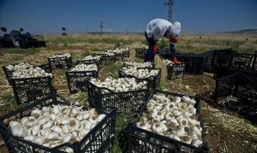 Gaziantep’in şifa kaynağı AB yolunda