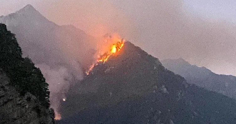 Son dakika: Osmaniye’de orman yangını! Alevler yüzlerce metre uzaklıktan görülüyor