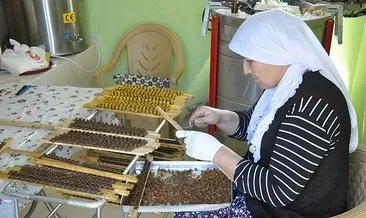 Kadın girişimci ’arı sütü’ siparişlerine yetişemiyor