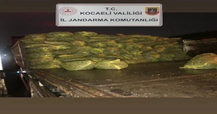 Şüpheli TIR’dan 10 ton midye çıktı