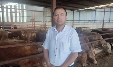 Manisa’da akılalmaz ölüm! Kurbanlık dananın fotoğrafını çekerken boynuz darbesiyle öldü! #manisa