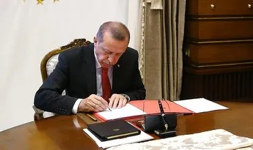 Son Dakika: Cumhurbaşkanı Recep Tayyip Erdoğan o kanun maddelerini onayladı