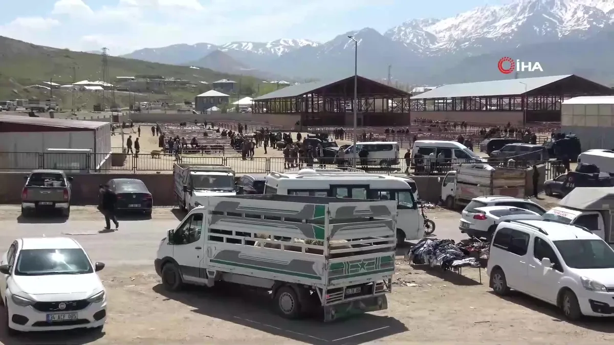 Van’da hayvan pazarında silahlı kavga: 1 ölü, 13 yaralı | Video videosunu izle Van’da hayvan pazarında silahlı kavga: 1 ölü, 13 yaralı | Video videosunu izle