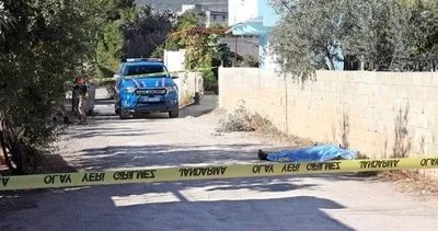 Zeytin toplarken hayatını kaybetti #hatay