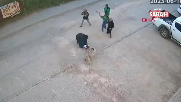 Köpek, ailesinin yanındaki küçük çocuğa böyle saldırdı! Dehşet anları kamerada | Video