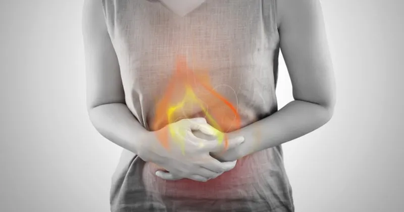 gastrite ne iyi gelir evde bitkisel