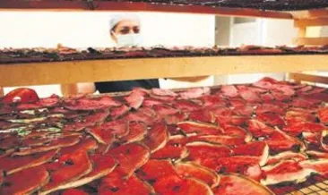 Devlet desteğiyle karpuz cipsi üretti