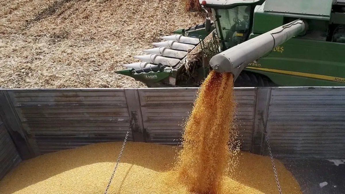 TMO yem sektörü için ilave stokları açıkladı TMO yem sektörü için ilave stokları açıkladı