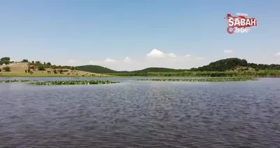 Doğa güzelliği Yayla Gölü hassas koruma alanı ilan edildi | Video