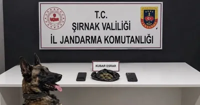 Şırnak’ta 196 şüpheli hakkında işlem yapıldı #sirnak