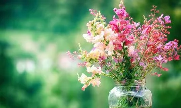 Bu yöntem vazodaki çiçeklerin solmasını önlüyor! Çiçekleri yerleştirmeden önce…
