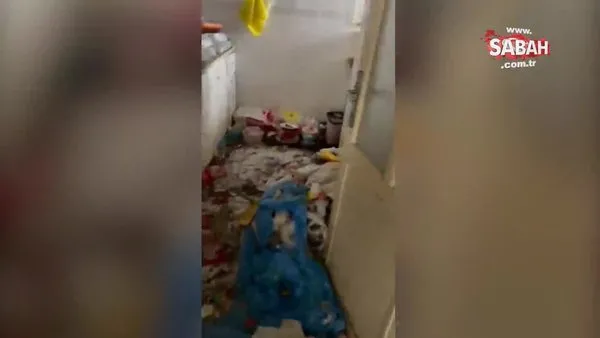 Eyüpsultan'da yürek sızlatan görüntü: 3 çocuk çöp evde terk edilmiş halde bulundu | Video
