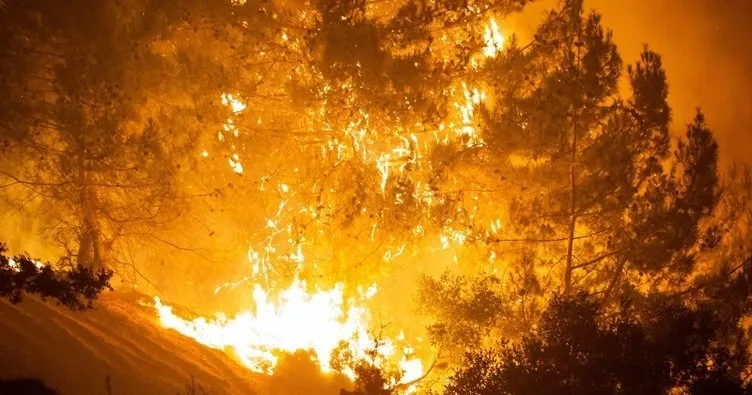 Hassa’daki yangın, 2’nci günde de devam ediyor