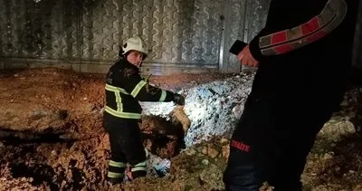 Çukura düşen yavru köpekleri, Siirt Belediyesi ekipleri kurtardı