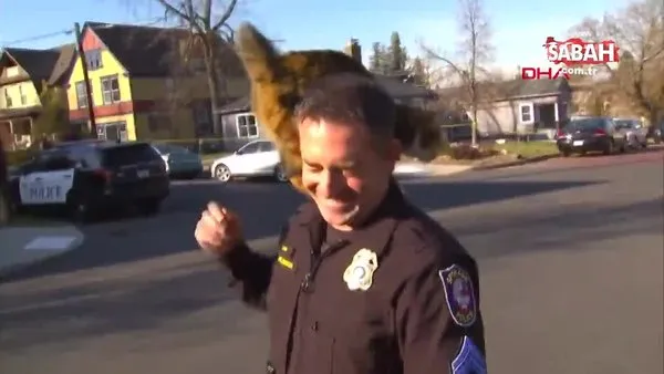 ABD'de röportaj sırasında polisin üzerine sokak kedisi atladı