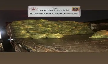 Şüpheli TIR’dan 10 ton midye çıktı