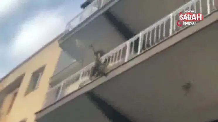 Şaşkın maymun sahibine zor anlar yaşattı | Video