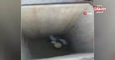 Resulayn’da PKK’ya ait tünel bulundu