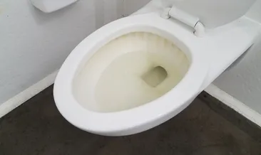Tuvaleti ilk günkü beyazlığına çeviren yöntem! Çamaşır suyuna gerek kalmıyor...